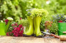 Home And Gardens