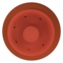 Cargar imagen en el visor de la galería, Bar- 2L
