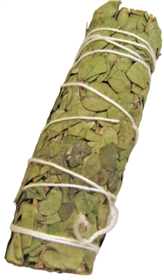 MIX - Baby Eucalyptus Smudge Sticks 4
