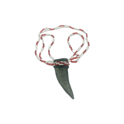 Amuleto de collar de cuerno Santeria