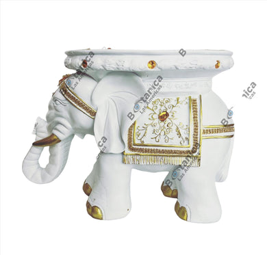 Pedestal De Elefante Blanco / White Elephant Pedestal