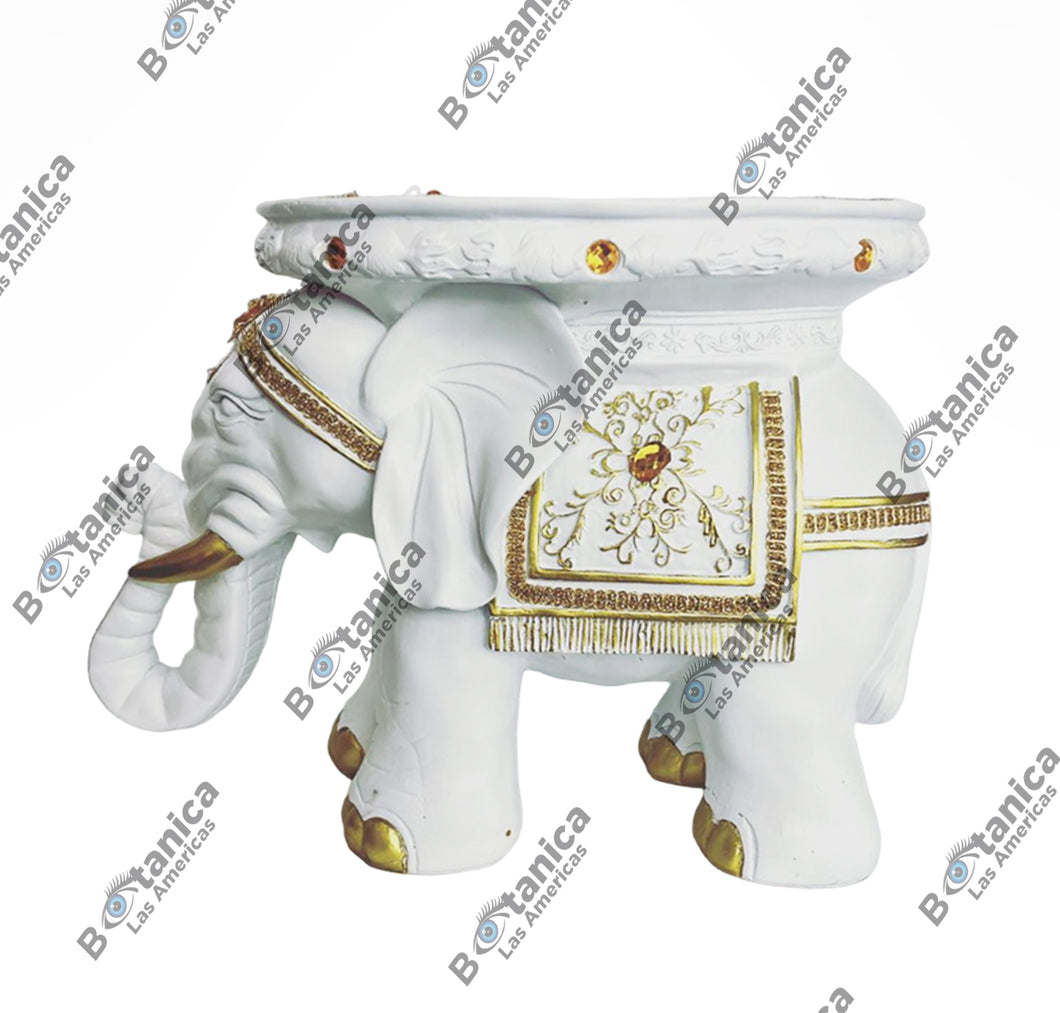 Pedestal De Elefante Blanco / White Elephant Pedestal